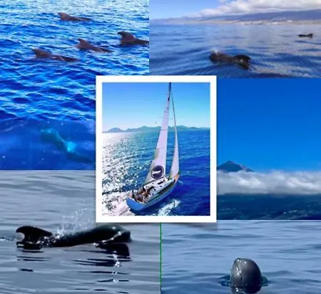 Cozy Коста-дель-Силенцио