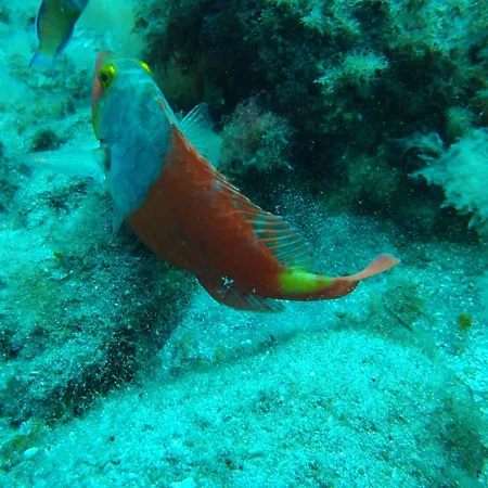 Апартаменты Cozy *