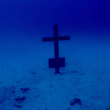 Апартаменты Cozy *