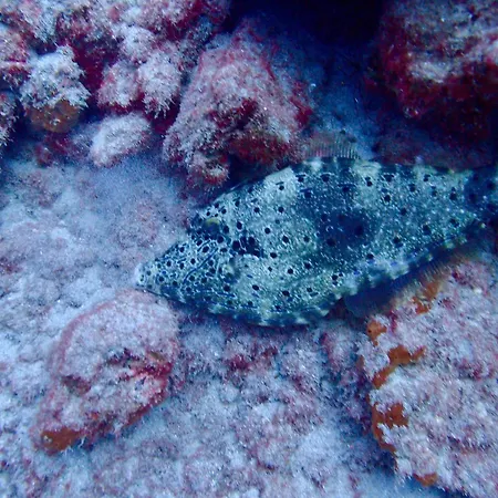 Cozy Апартаменты