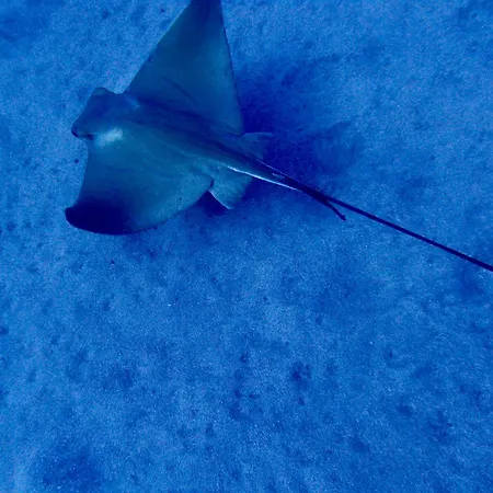 Cozy * Costa Del Silencio