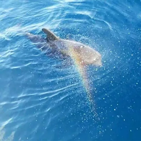 Cozy Апартаменты Коста-дель-Силенцио