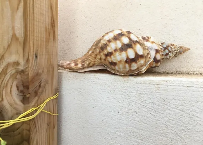 Daire Cozy Costa Del Silencio