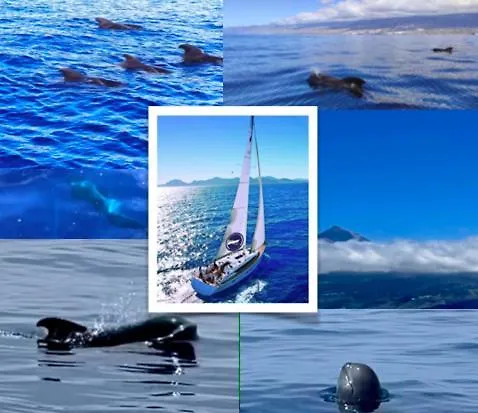 Cozy Costa Del Silencio