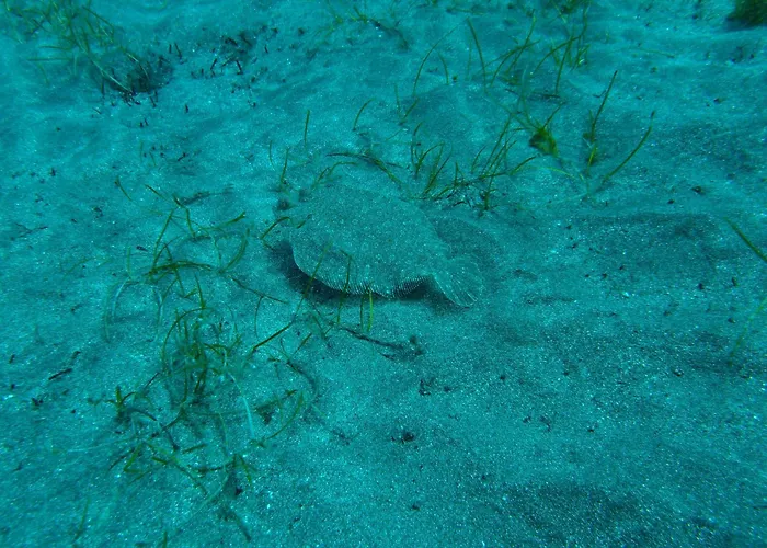 Daire Cozy Costa Del Silencio