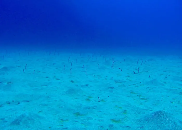 Cozy Costa Del Silencio