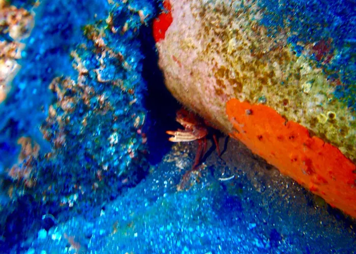 Daire Cozy Costa Del Silencio