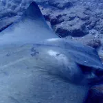 Διαμέρισμα Cozy Costa Del Silencio