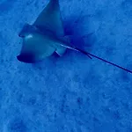 Cozy * Costa Del Silencio