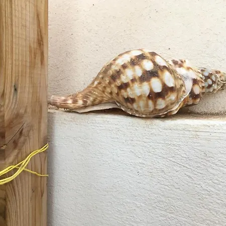 Apartamento Cozy Costa Del Silencio