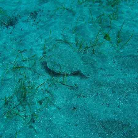 Apartamento Cozy Costa Del Silencio