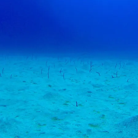 Cozy קוסטה דל סילנסיו