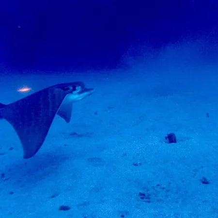 Apartamento Cozy Costa Del Silencio