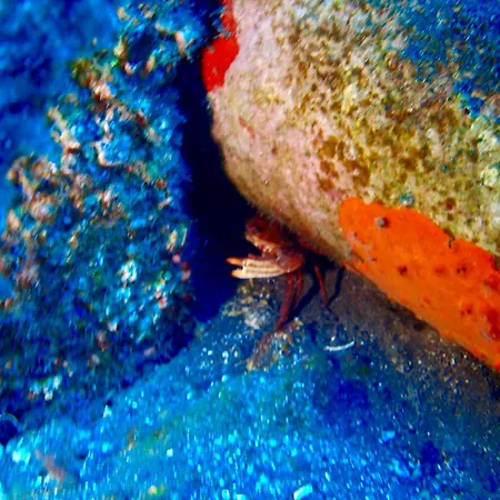 דירה Cozy קוסטה דל סילנסיו