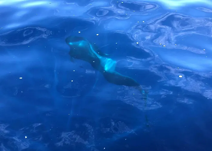 Appartement Cozy Costa Del Silencio