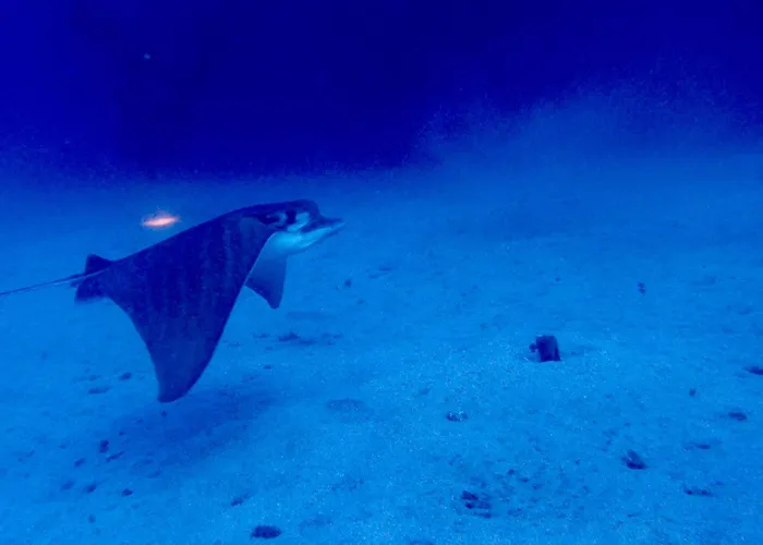 Appartement Cozy Costa Del Silencio