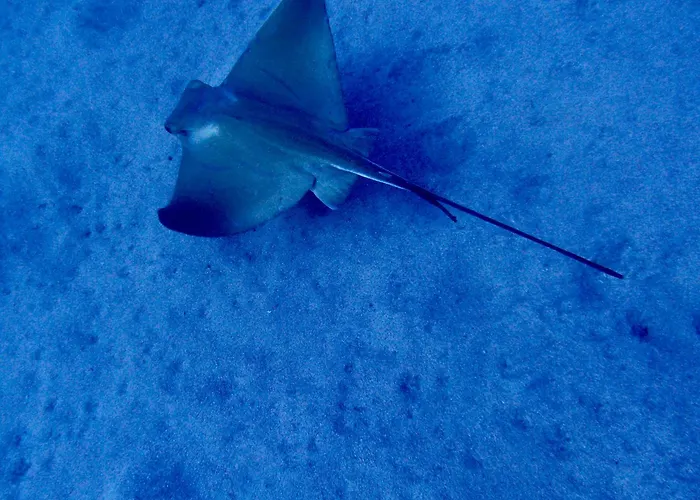 Cozy * Costa Del Silencio