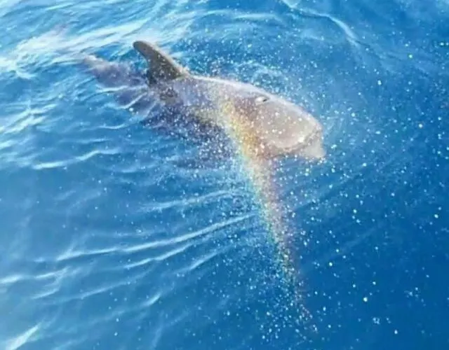 Cozy Appartement Costa Del Silencio